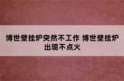 博世壁挂炉突然不工作 博世壁挂炉出现不点火